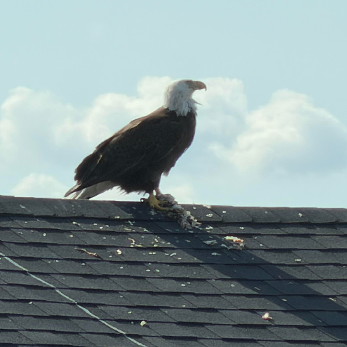 January 21st, 2026 Thumbnail